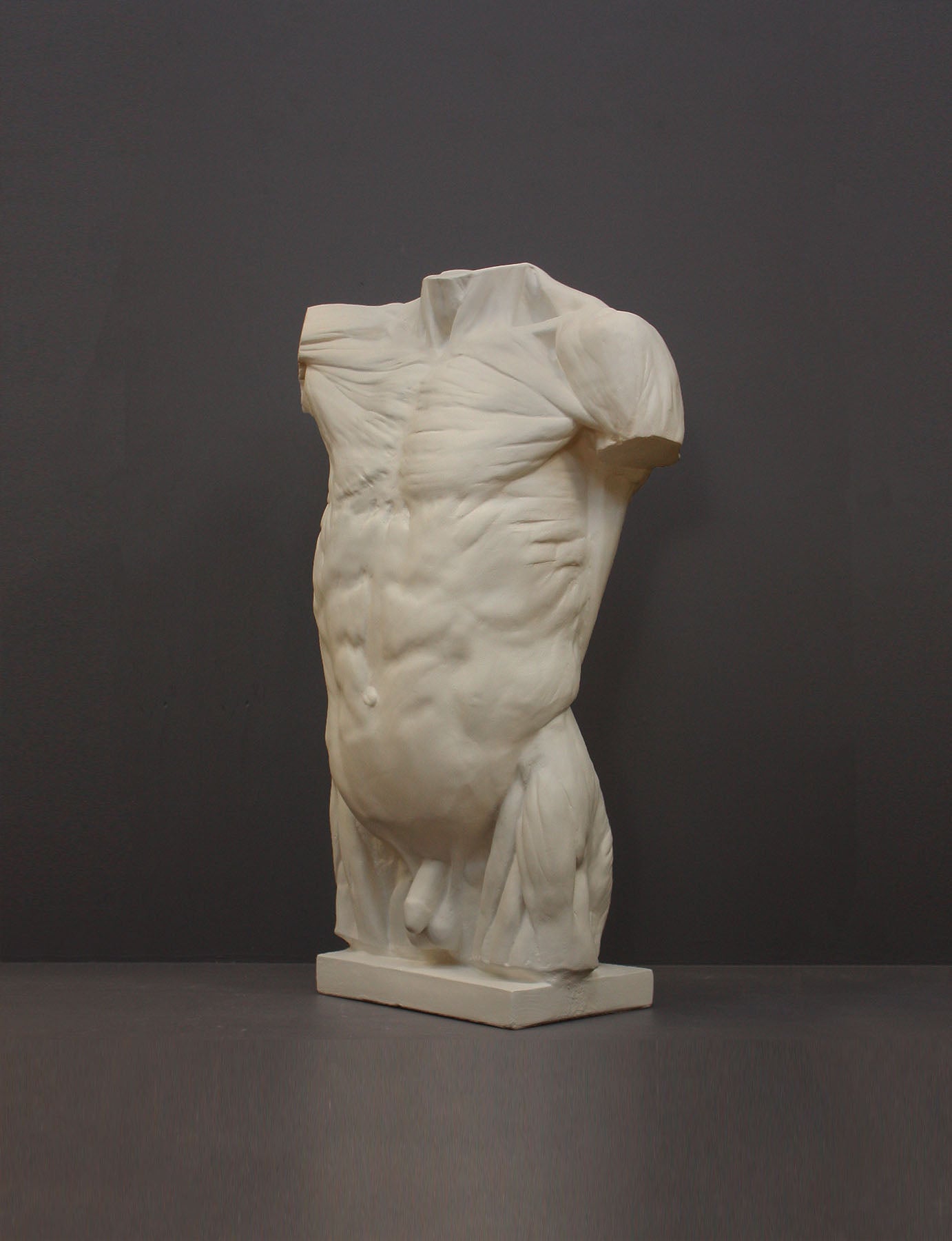 image of a plaster statue of a bust of a anatomical torso on a gray background
