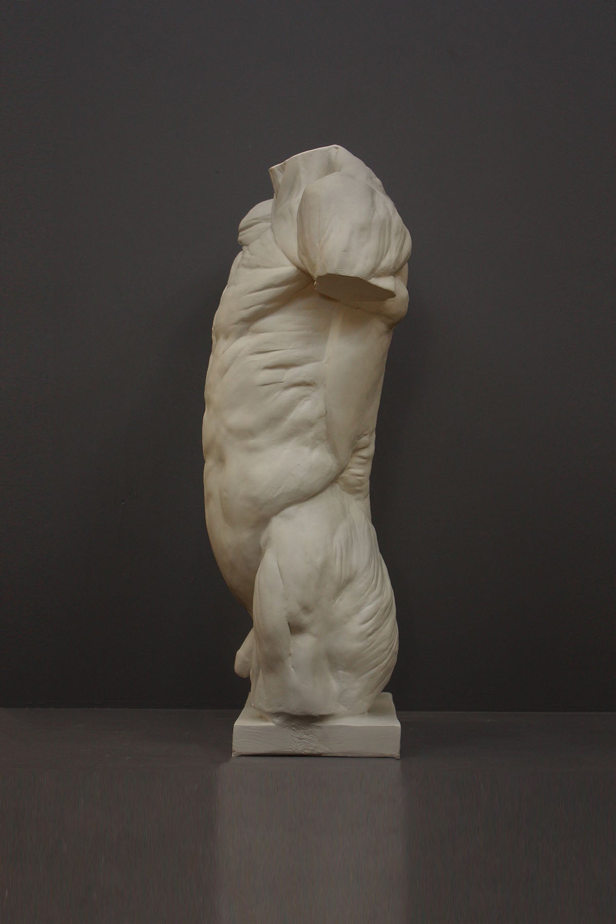 image of a plaster statue of a bust of a anatomical torso on a gray background