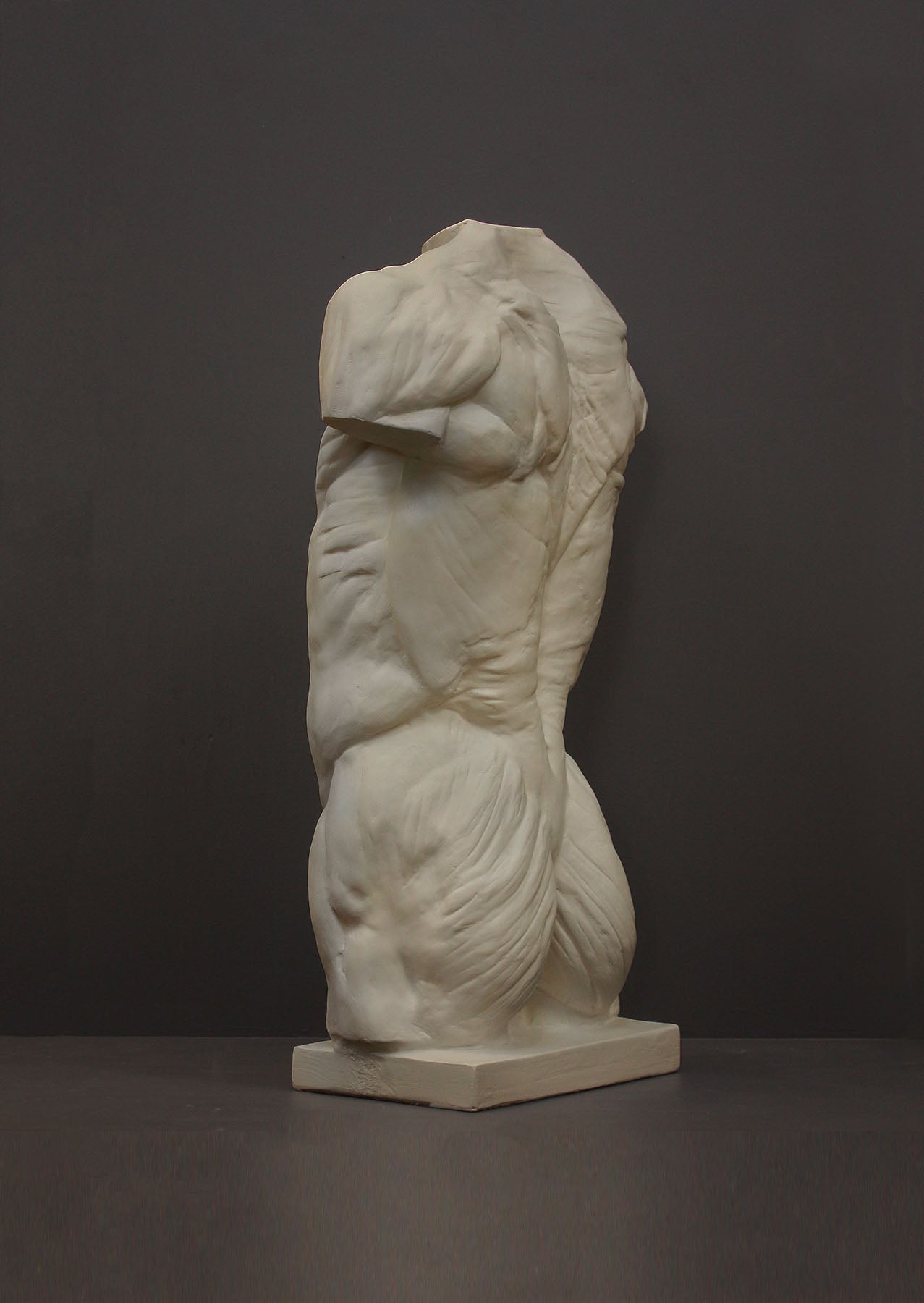 image of a plaster statue of a bust of a anatomical torso on a gray background