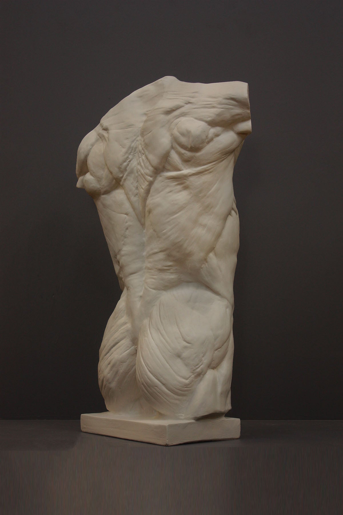image of a plaster statue of a bust of a anatomical torso on a gray background