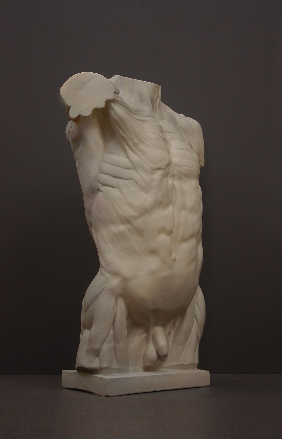 photo of plaster cast of sculpted flayed male torso on a gray background