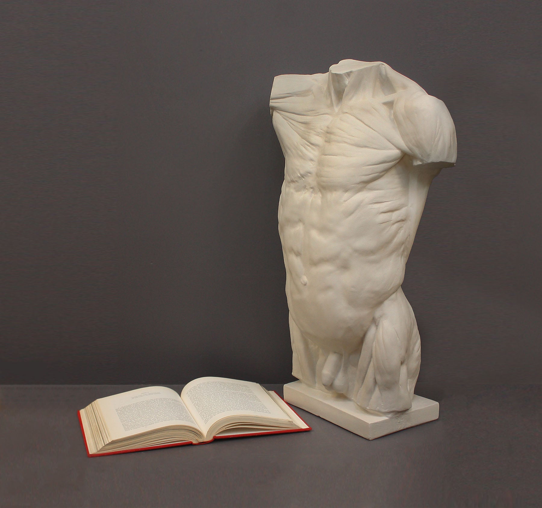 photo of plaster cast of sculpted flayed male torso next to an open book on a gray background