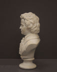 image of a plaster sculpture bust of man, namely Mozart, with ruffled necktie and coat on a gray background