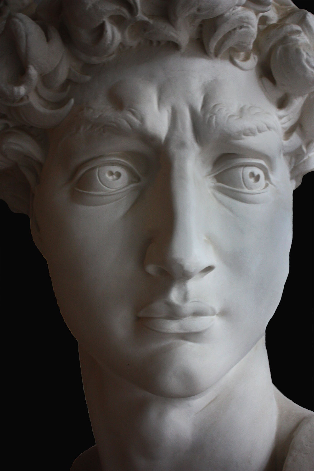 Photo of plaster cast sculpture of head from Michelangelo&#39;s David statue on a black background