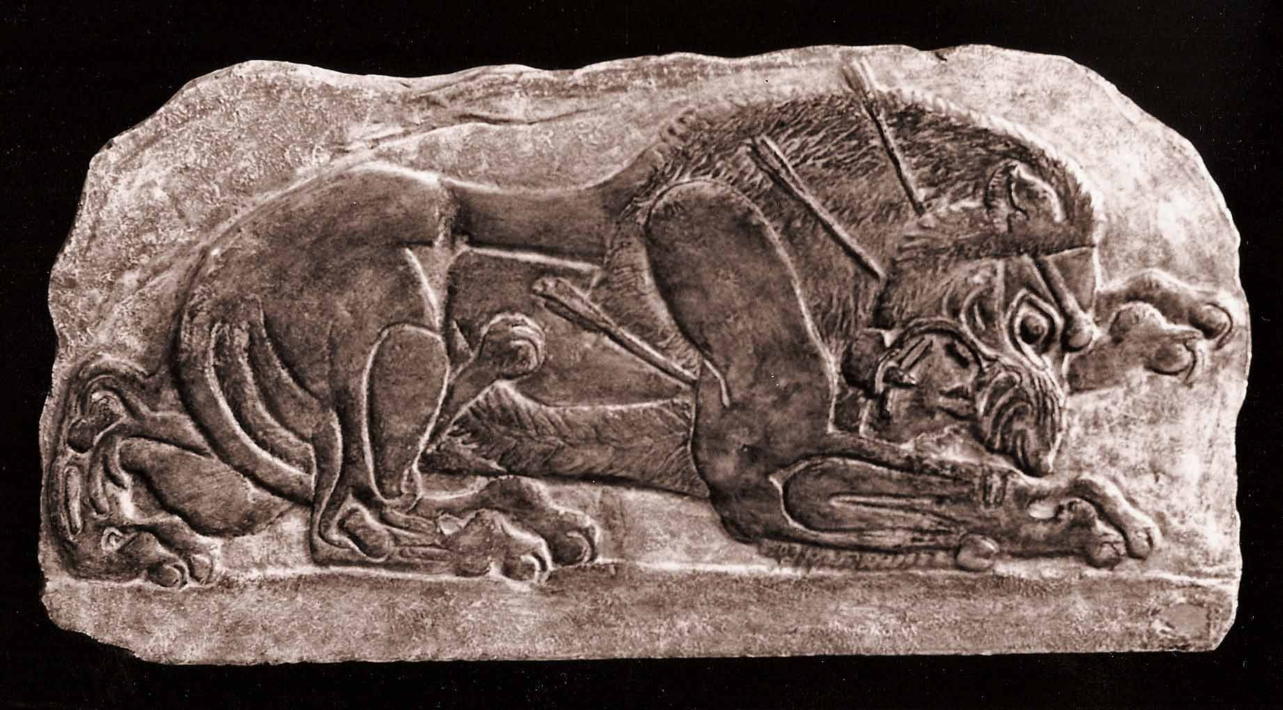 Lion (Fragment) - Item 