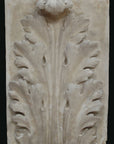 photo of plaster cast relief of upright, symmetrical acanthus leaf on a black background