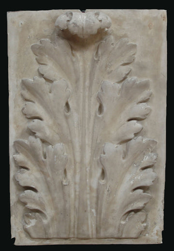 photo of plaster cast relief of upright, symmetrical acanthus leaf on a black background