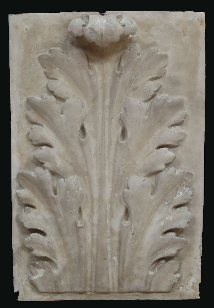 photo of plaster cast relief of upright, symmetrical acanthus leaf on a black background