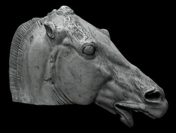 photo of plaster cast sculpture of horse's head with open mouth