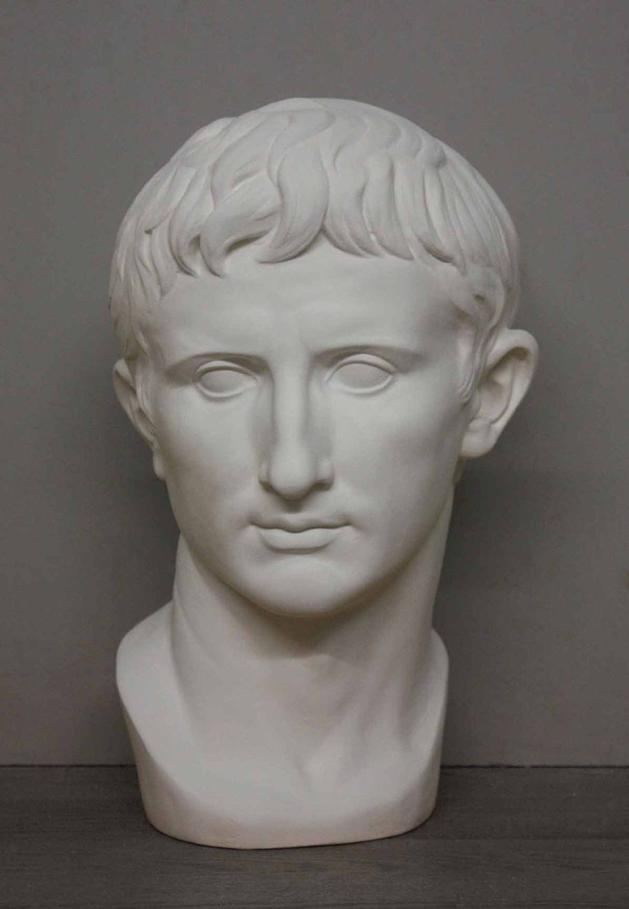 photo of plaster cast bust of man, namely Augustus Caesar, with gray background