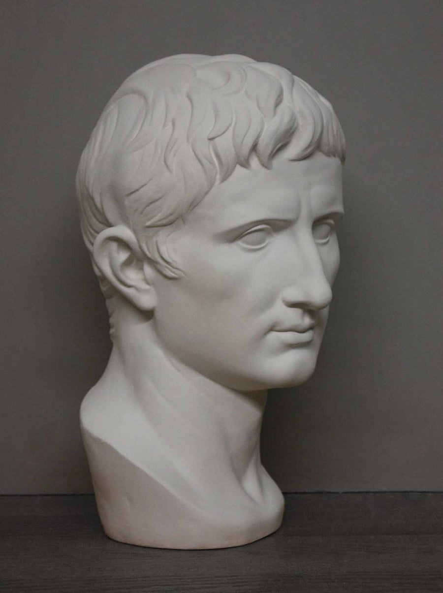 photo of plaster cast bust of man, namely Augustus Caesar, with gray background