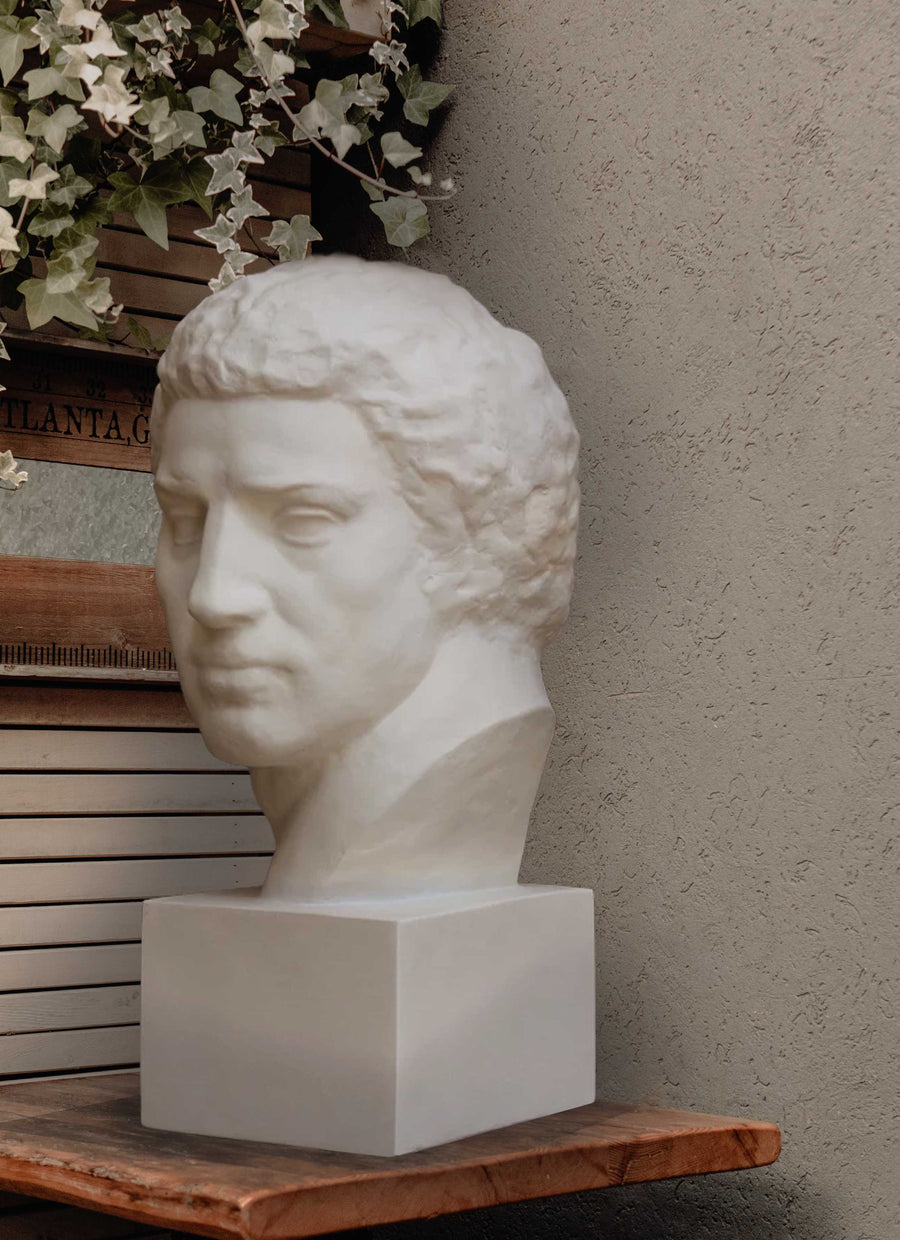 Photo of plaster cast sculpture of man's head on a wooden shelf with a stucco wall, window shutters, and a plant of ivy above