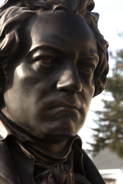 photo of bronze-colored plaster cast sculpture bust of man, namely Beethoven, with neckerchief with sky and trees in background