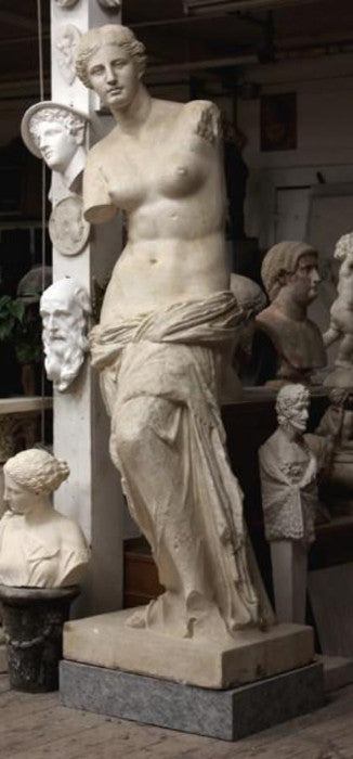 Photo of plaster cast sculpture of standing figure of Venus partially nude in gallery with more casts