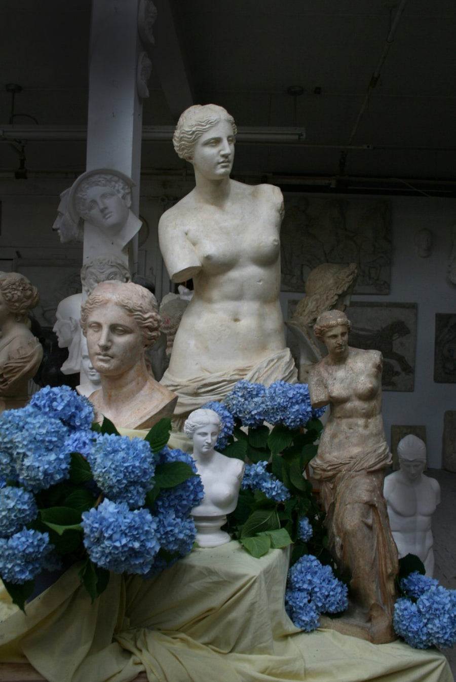photo with two plaster cast busts and two plaster cast standing figures of Venus with yellow sheet and blue hydrangeas
