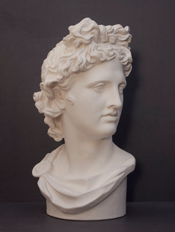 photo of white plaster cast sculpture bust of man, namely the god Apollo, with hair piled high in the front and a broach near his neck holding robes on a gray background
