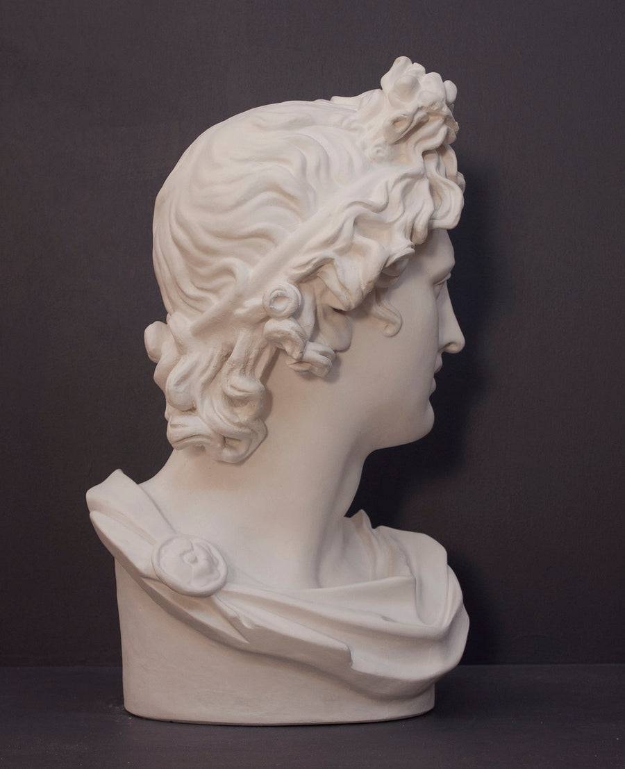 photo of white plaster cast sculpture bust of man, namely the god Apollo, with hair piled high in the front and a broach near his neck holding robes on a gray background