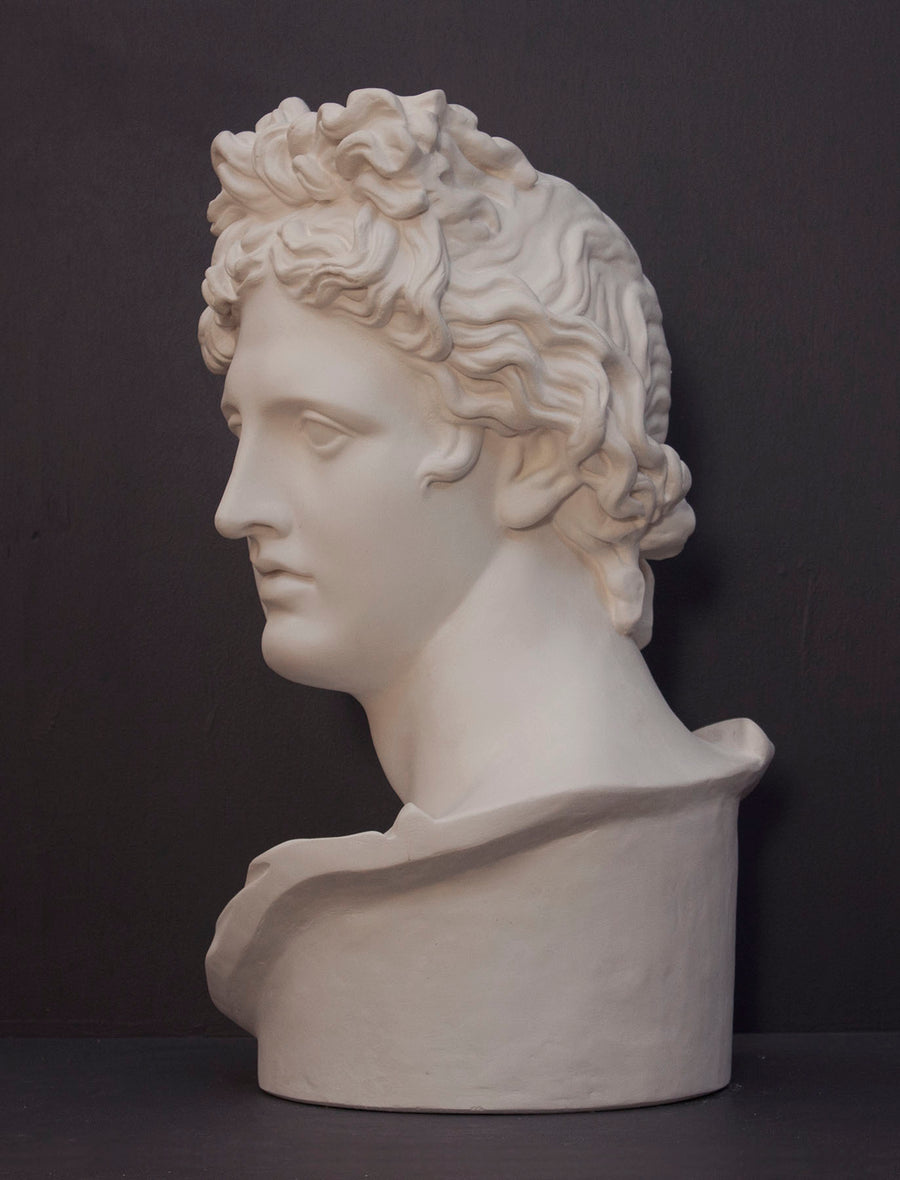 photo of white plaster cast sculpture bust of man, namely the god Apollo, with hair piled high in the front and a broach near his neck holding robes on a gray background