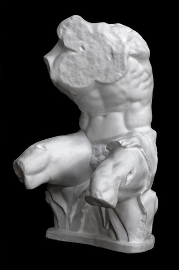 Belvedere Torso (reduction) - Item #137