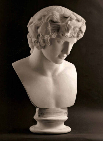 photo with black background of plaster cast of male bust of Antinous with crown of leaves