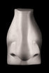 Photo of plaster cast sculpture of right nose from Michelangelo's David statue on a black background
