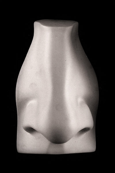 Photo of plaster cast sculpture of nose from Michelangelo's David statue on a black background