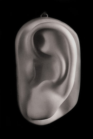 Ear Detail from David's Head - Item #149