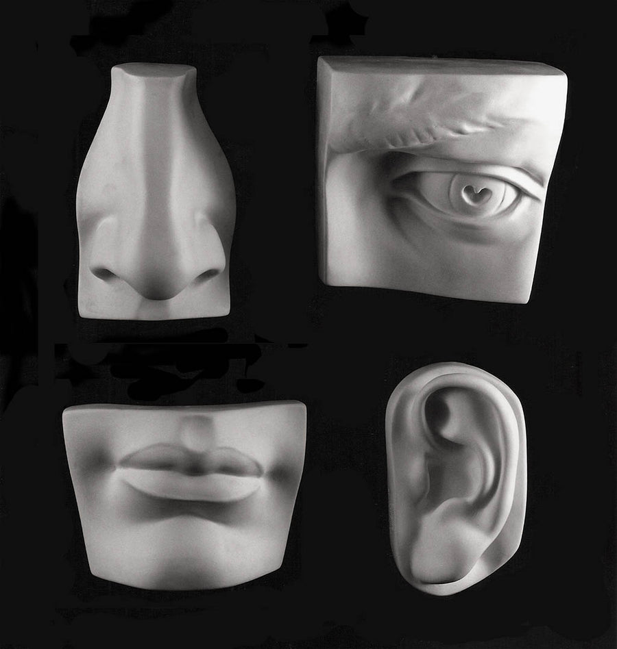 Photo of four plaster casts from a sculpture's head including left eye, left ear, nose, and mouth on a black background