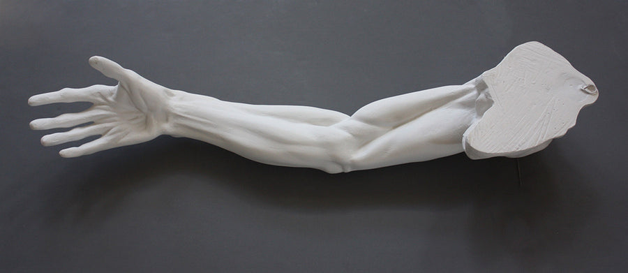 Photo of plaster cast sculpture of flayed arm with a gray background 