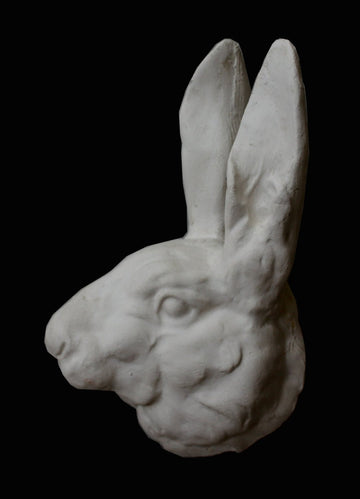 Rabbit Head - Item #174