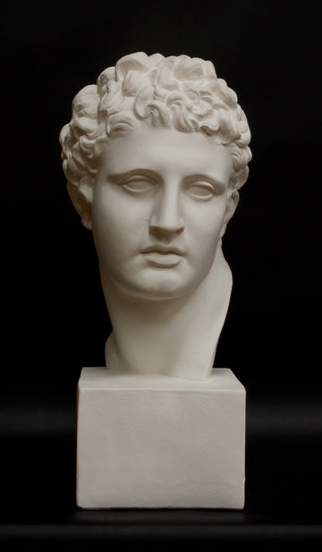 photo of white plaster cast of ancient sculpture of male head with curls, namely Meleager, on square base on black background