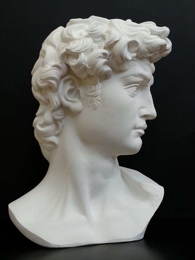 Photo of plaster cast sculpture of head from Michelangelo's David statue on a black background