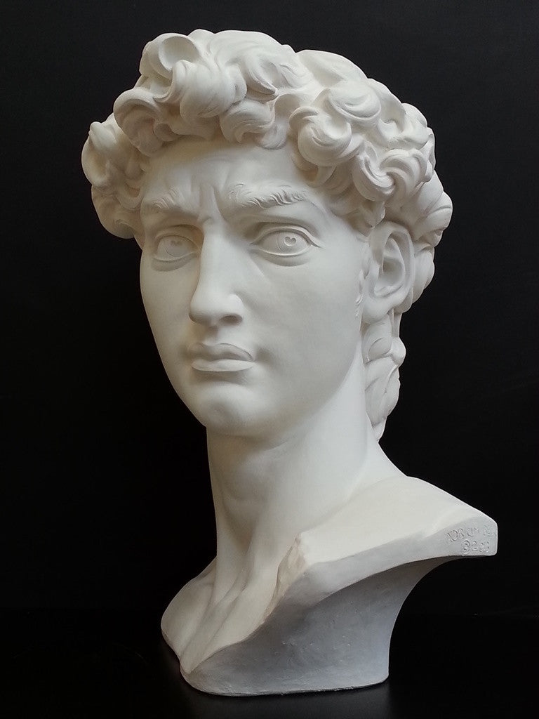 David Reduction Bust - Item #96