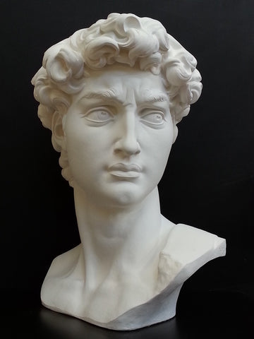 David Reduction Bust - Item #96
