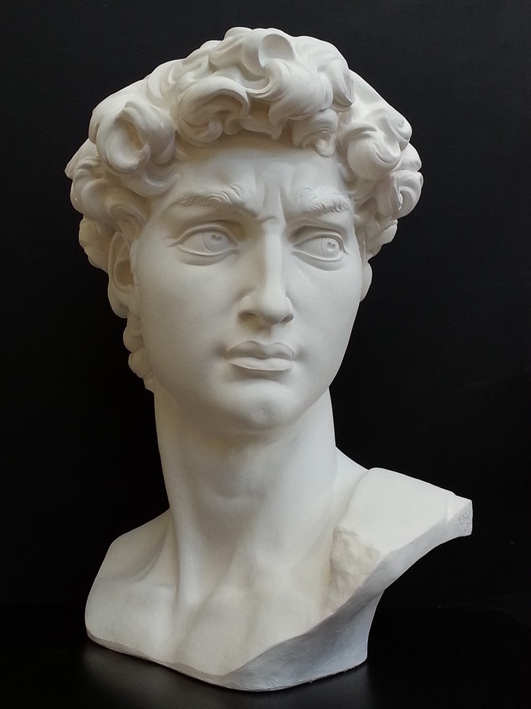 David Reduction Bust - Item #96