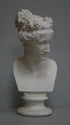 Photo of white plaster cast bust sculpture of female with headband, namely Pauline Bonaparte, facing left on gray background