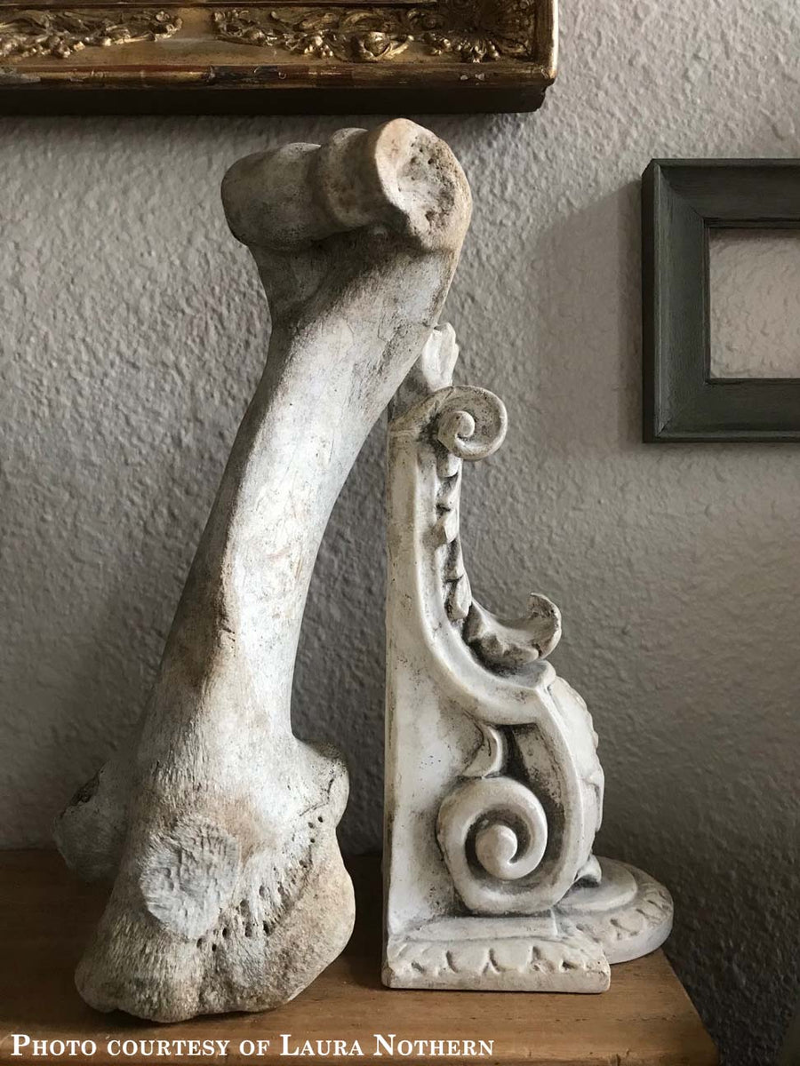 Photo of plaster cast of sculpture of Renaissance bracket leaning against a bone with empty picture frames on the wall behind 