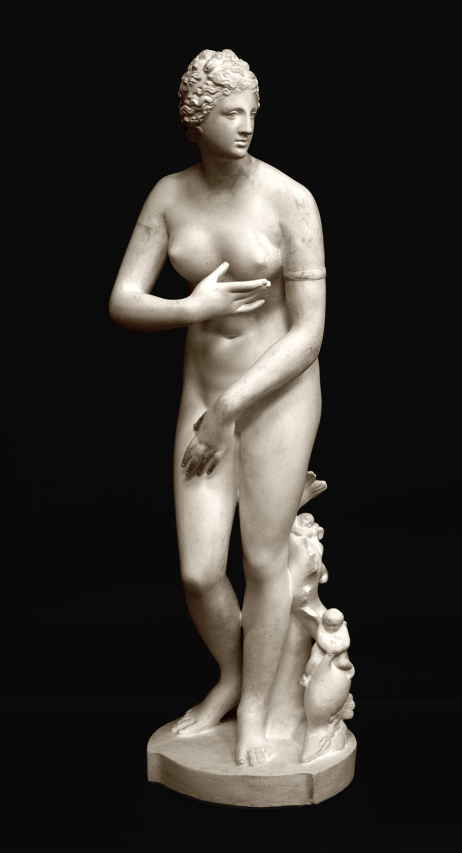 photo of plaster cast sculpture of Venus standing nude with two putti riding a dolphin at her feet
