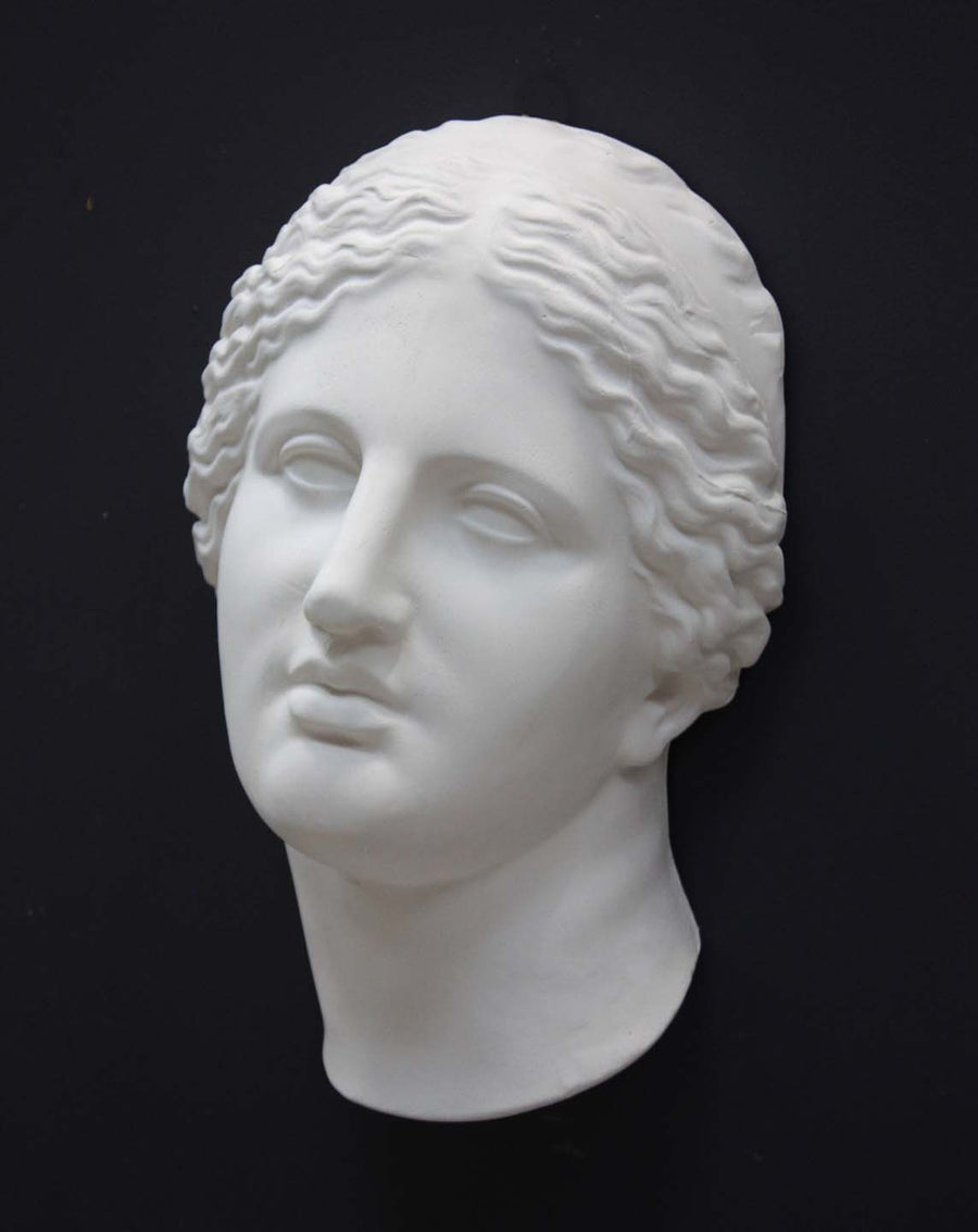 photo of white plaster cast of sculpture of face of Aphrodite of Knidos with wavy, pulled-back hair on dark gray background