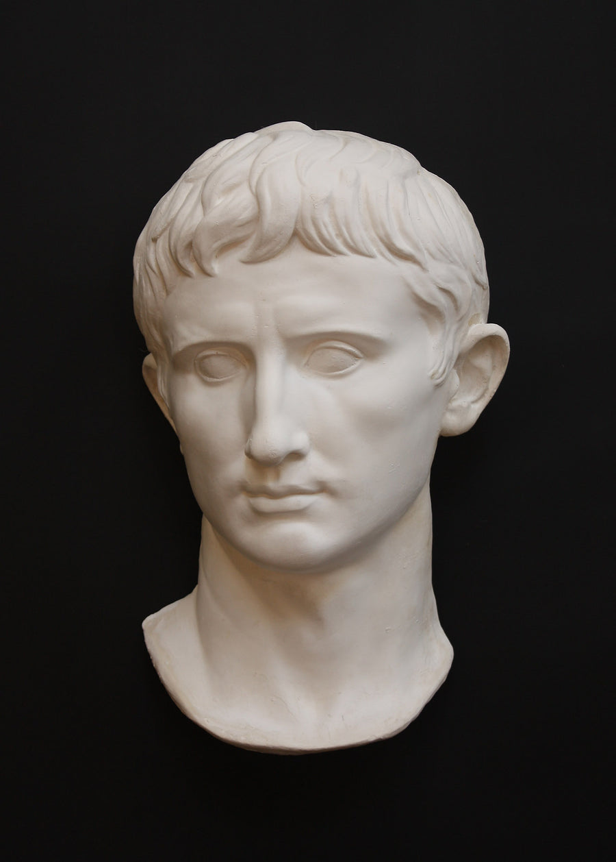 photo of white plaster cast sculpture of front half of head and neck of a male, namely Augustus Caesar, on black background