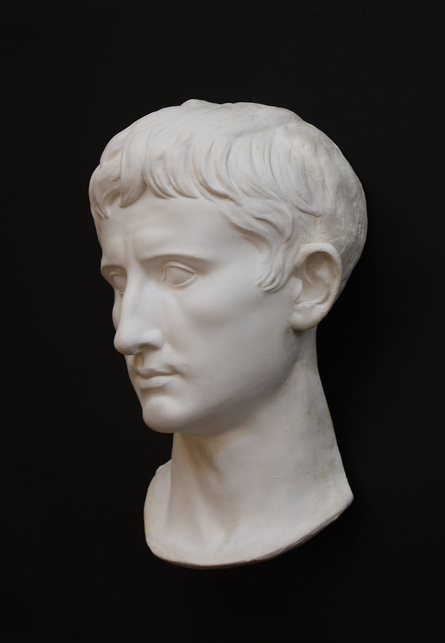 photo of white plaster cast sculpture of front half of head and neck of a male, namely Augustus Caesar, on black background