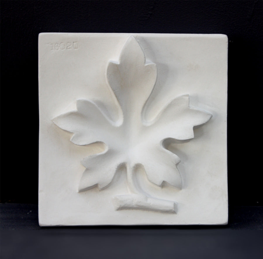 Photo of plaster cast of a relief of fig leaf on a black background