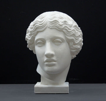 photo of plaster cast of sculpture of an Amazon head- female with pulled-back wavy hair on dark gray background