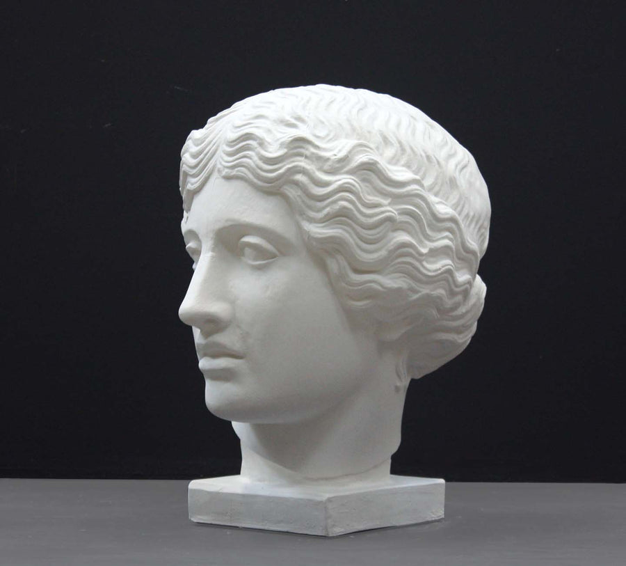 photo of plaster cast of sculpture of an Amazon head- female with pulled-back wavy hair on dark gray background