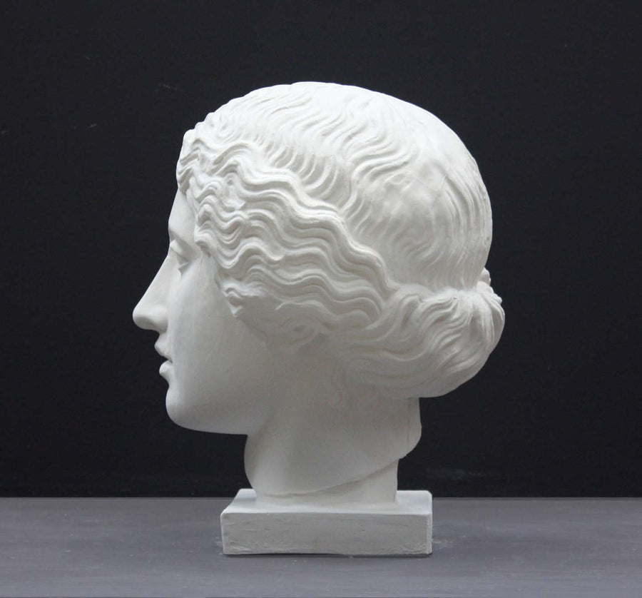 photo of plaster cast of sculpture of an Amazon head- female with pulled-back wavy hair on dark gray background