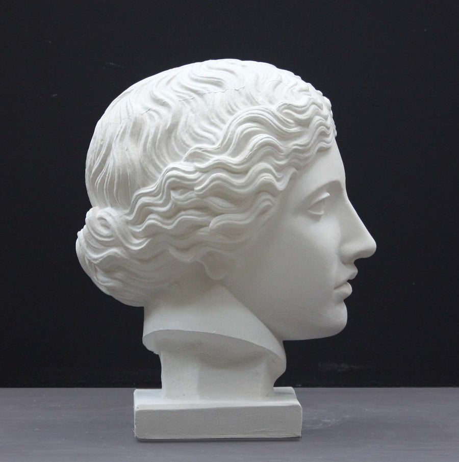 photo of plaster cast of sculpture of an Amazon head- female with pulled-back wavy hair on dark gray background