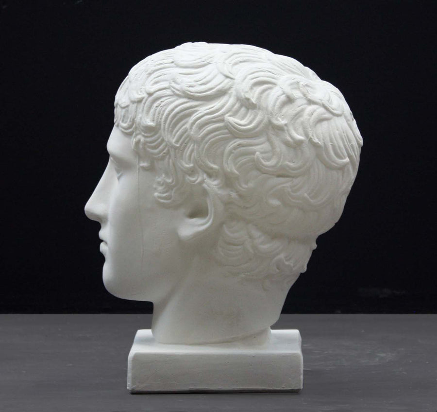 photo of plaster cast of sculpture of male head with flat, curly hair on dark gray background