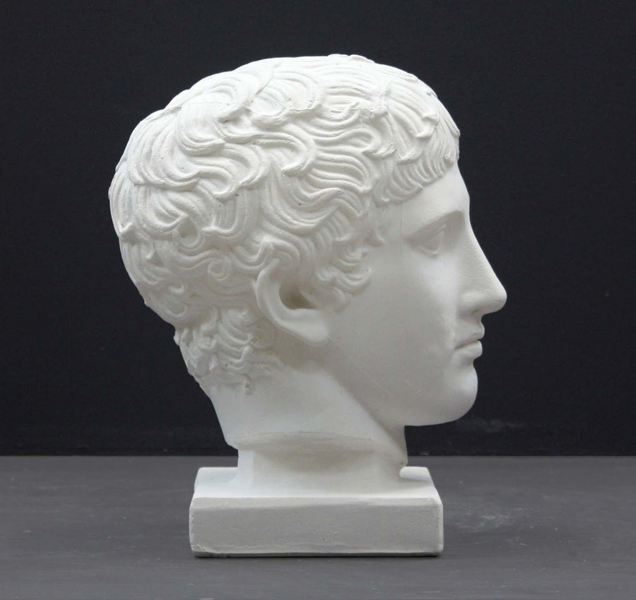 photo of plaster cast of sculpture of male head with flat, curly hair on dark gray background