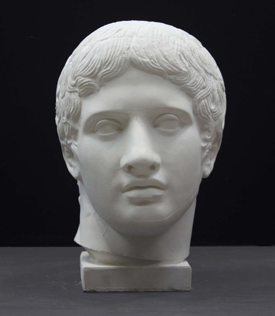 photo of plaster cast sculpture of head of the Doryphoros, male with curly hair, on dark gray background