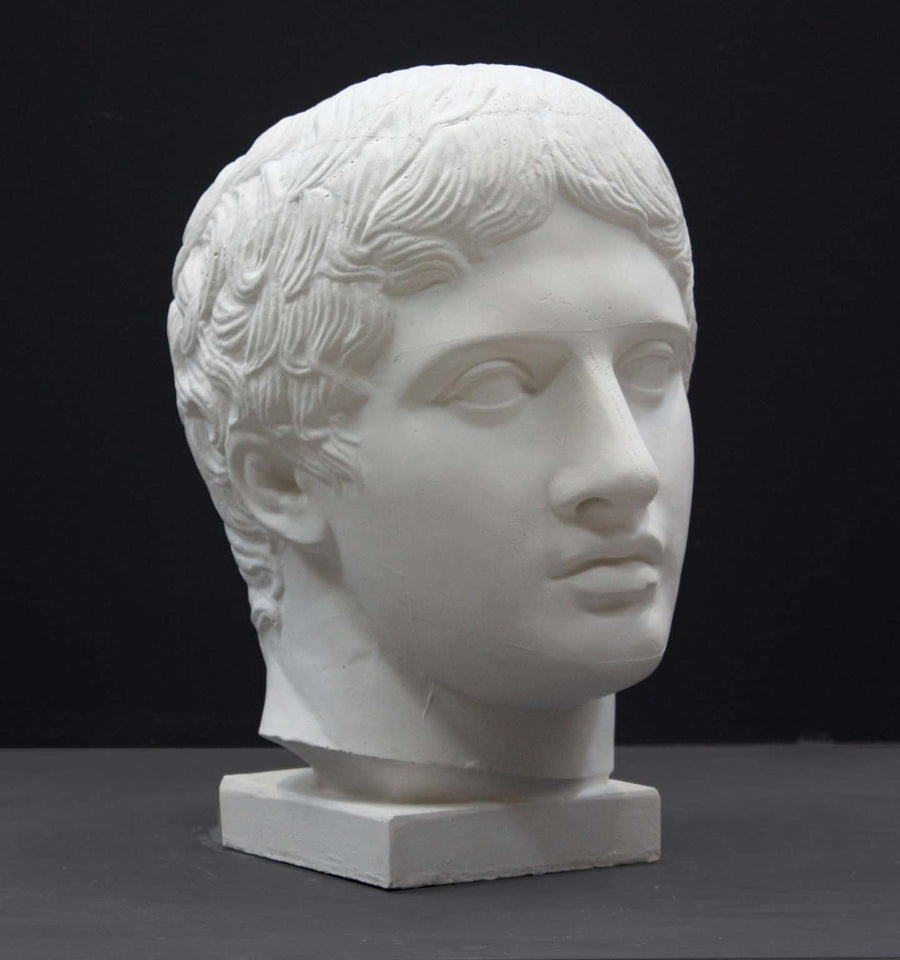 photo of plaster cast sculpture of head of the Doryphoros, male with curly hair, on dark gray background